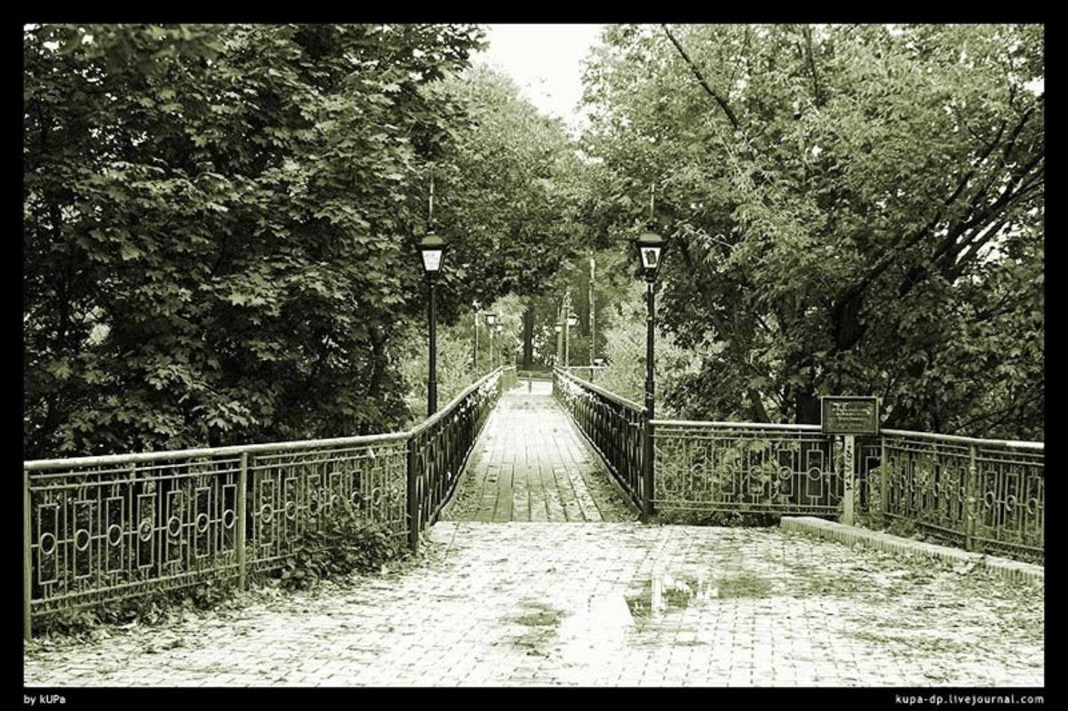 Киев, nature, kUPa, kUPa