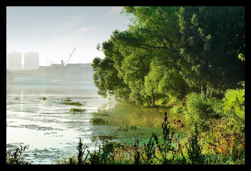 вода, деревья, утро Химкинское водохранилищеphoto preview