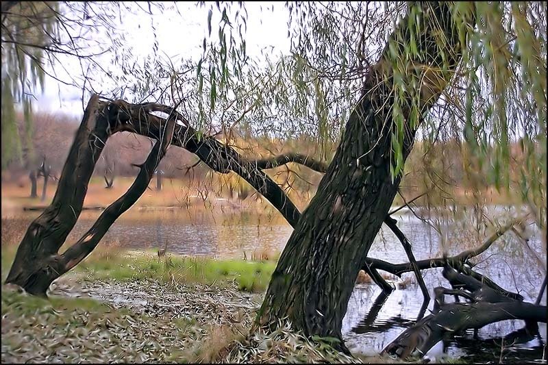 Природные переломыphoto preview