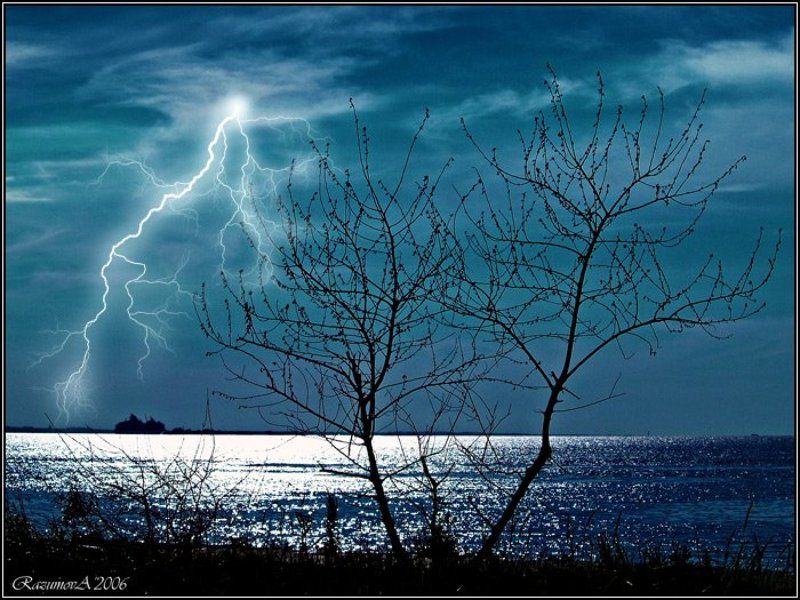 Диалогиphoto preview