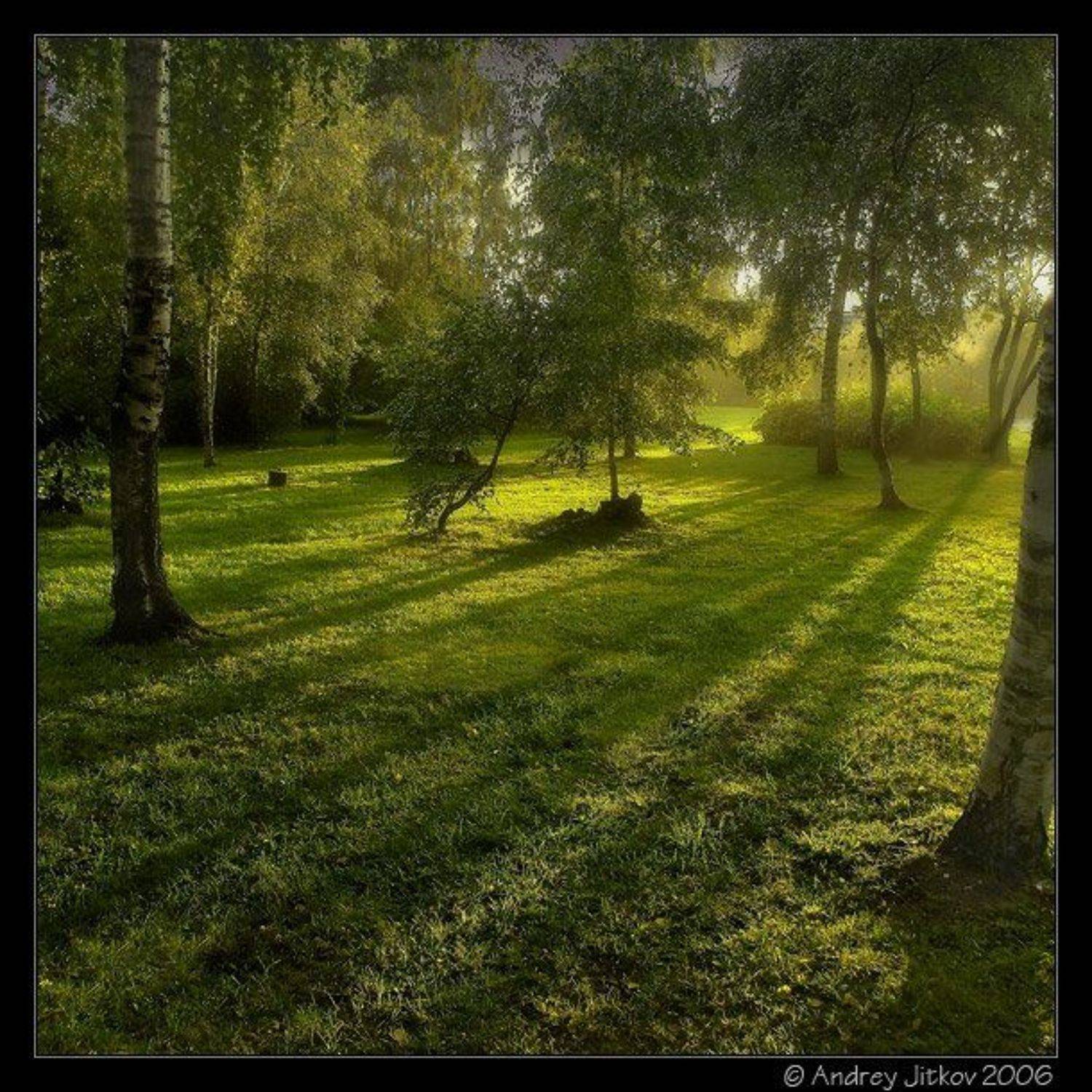 москва, вечер, тени, лето, дождь, photohunter, Андрей Житков