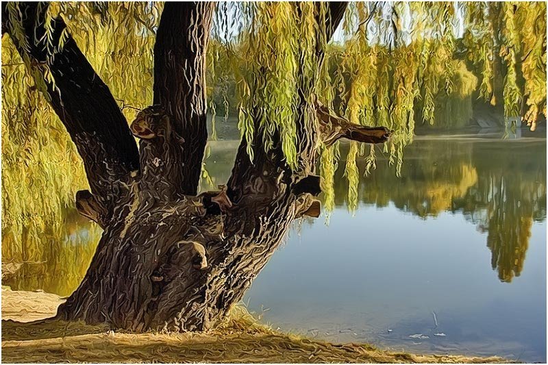 Ивушкаphoto preview