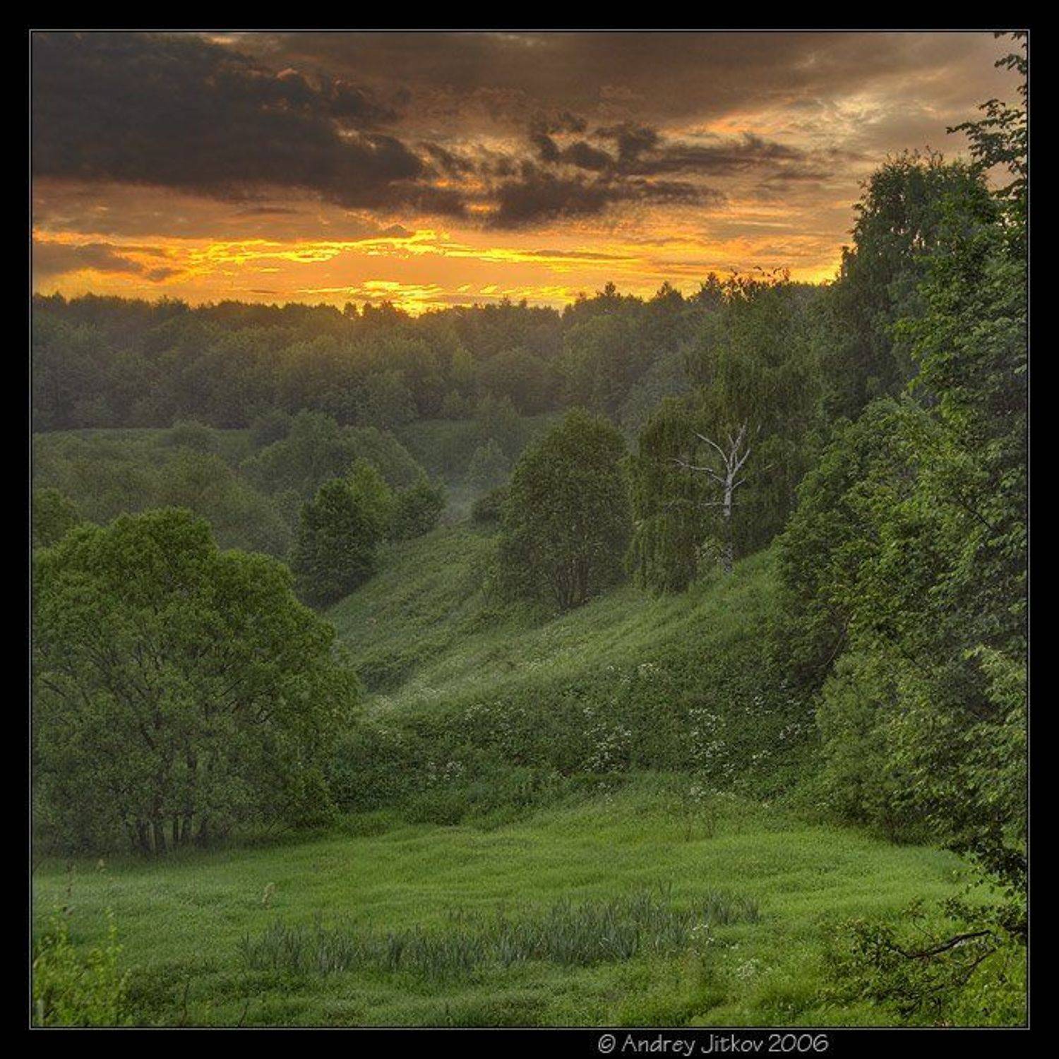 москва, утро, лето, овраг, рассвет, туман, photohunter, Андрей Житков