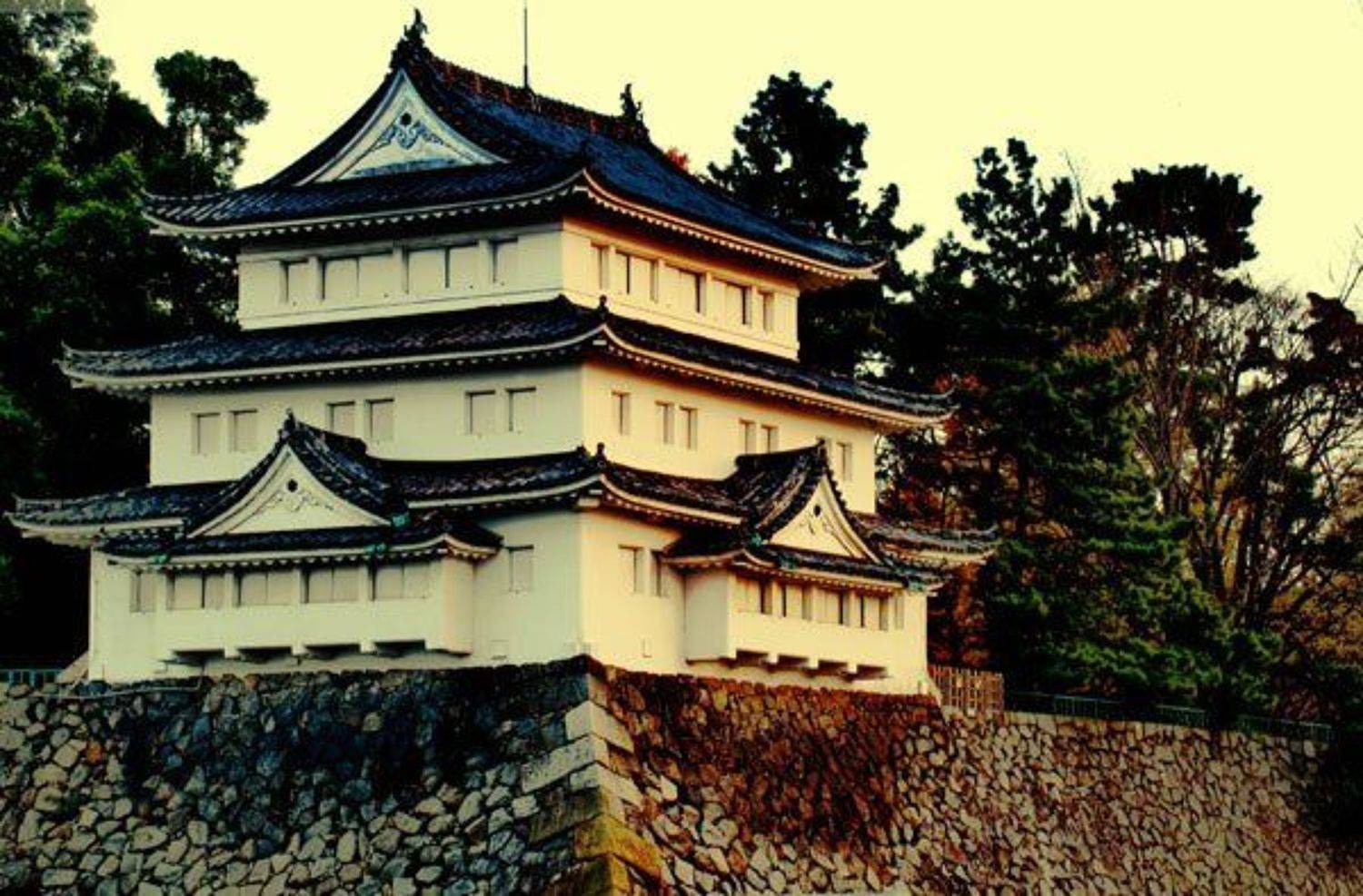 nagoya, japan, castle, Alexi S. Mandrikov