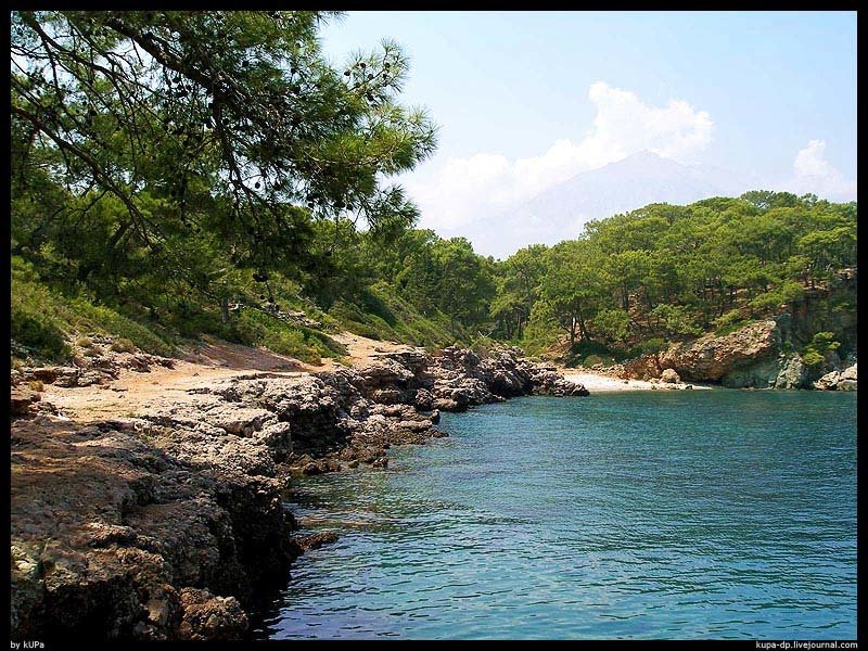 Turkish, kUPa photo preview