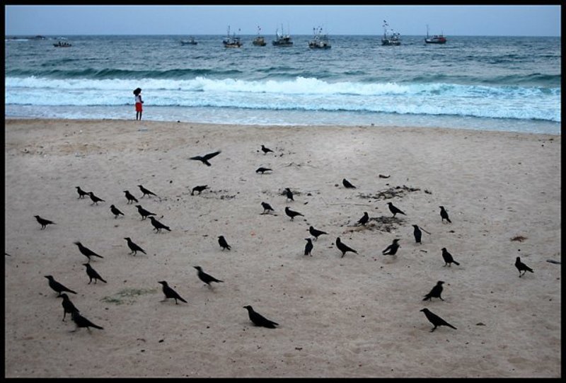 Цейлон, Sri Lanka, Trincomalee Ассоль и кораблиphoto preview