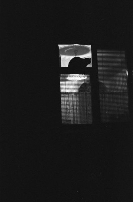 ночь, тепло, дом Там, где теплоphoto preview