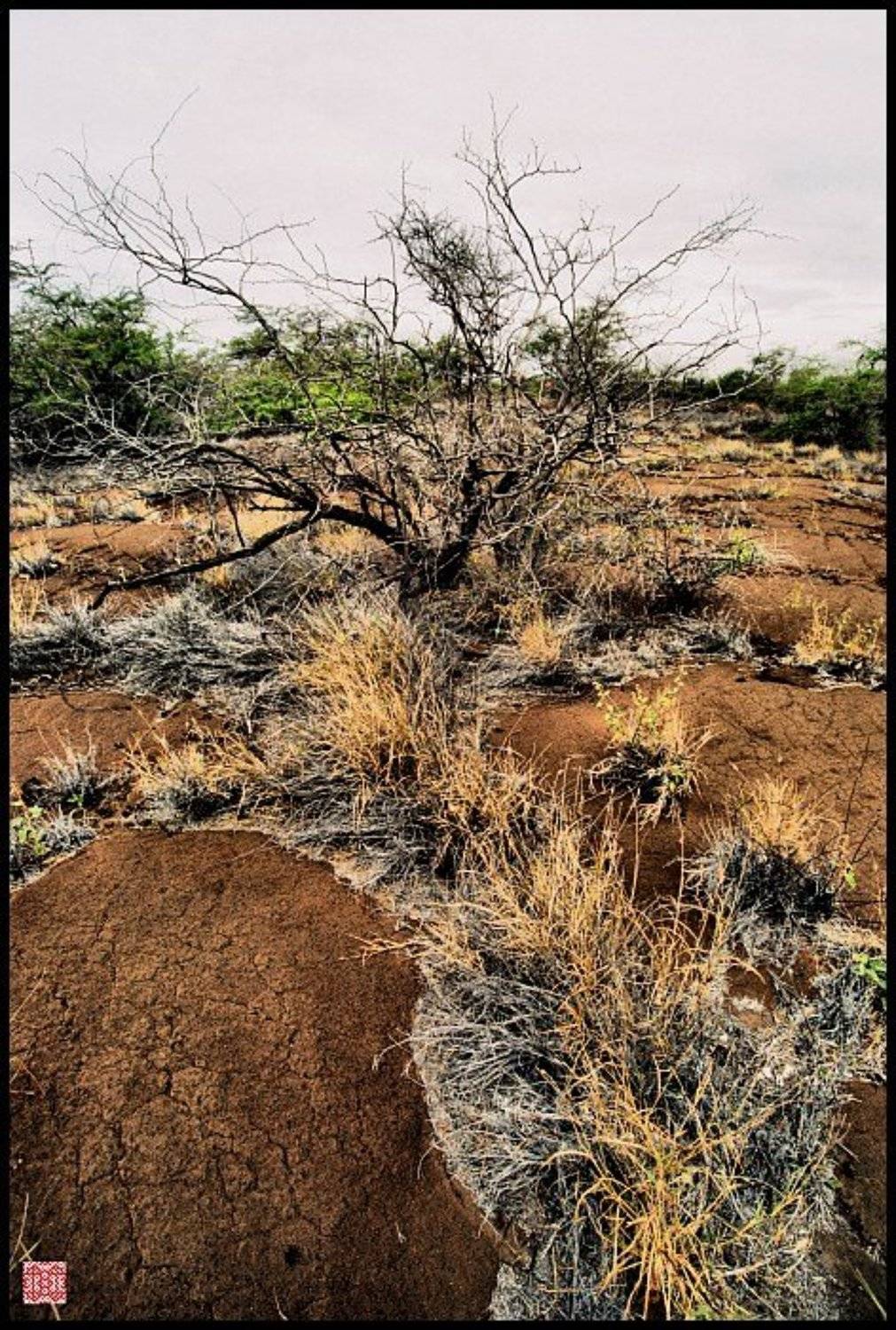 Гавайские острова, вулкан, лава, Cairns