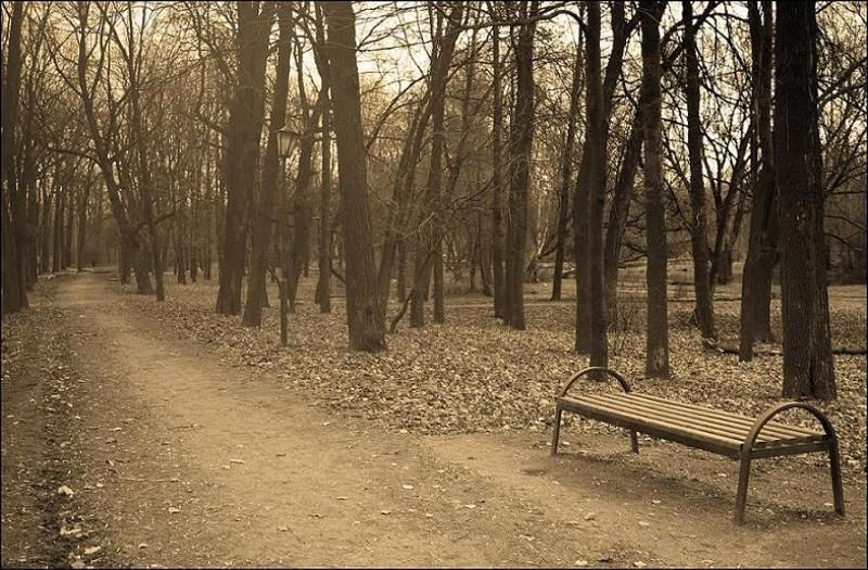 скамейка, зима, как, осень, грустно Грустная скамейка...photo preview