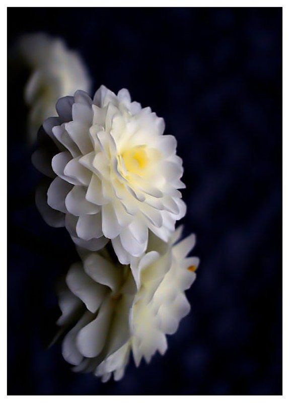 открыточноеphoto preview