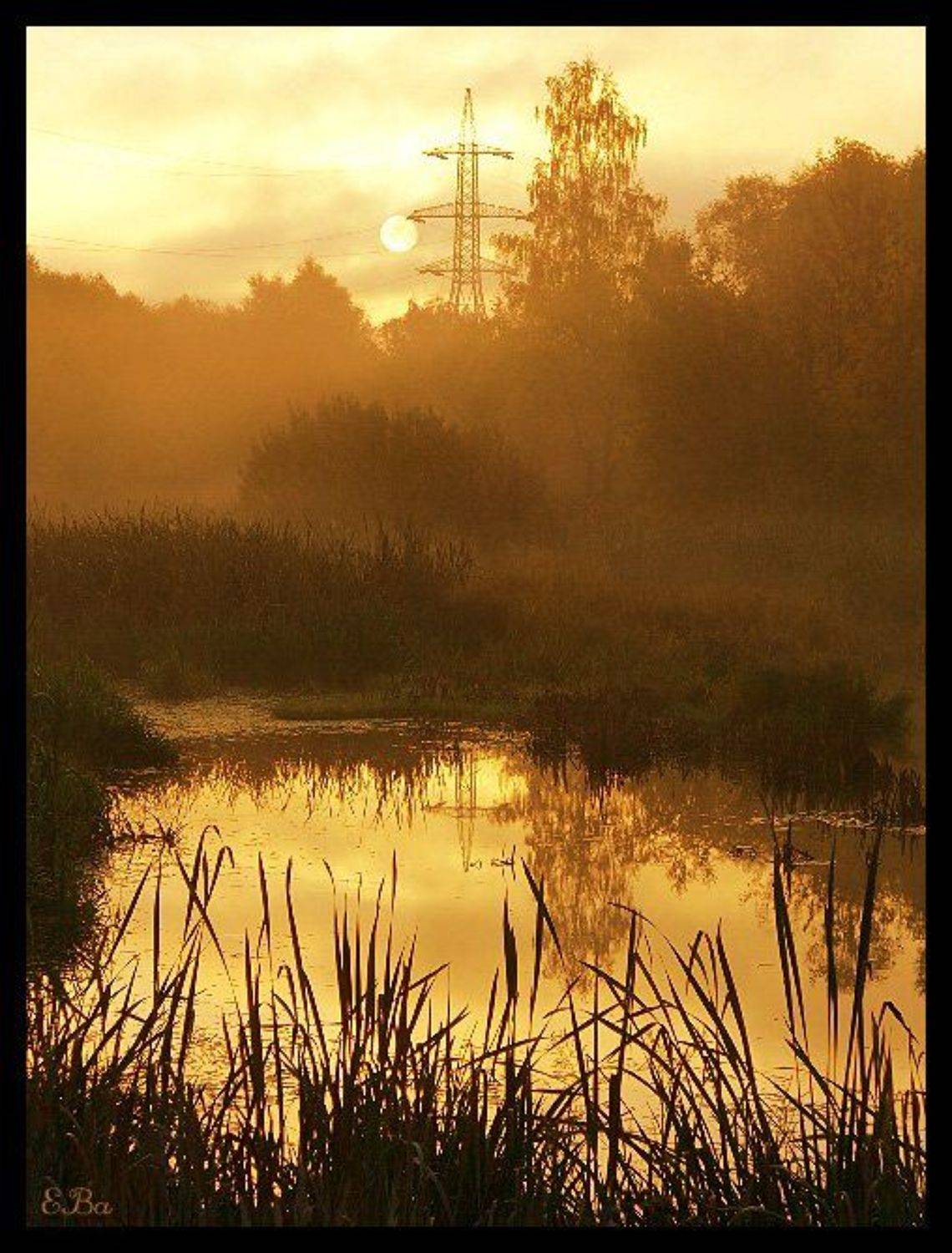Рассвет под ЛЭП в тиши природной.... Автор: Екатерина (PhotoJourneys.ru) Васягина ЛЭП,рассвет,пруд, Екатерина (PhotoJourneys.ru) Васягина
