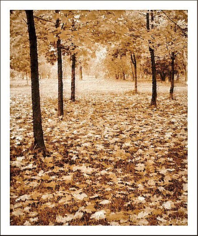 осень Осеннее настроение...photo preview