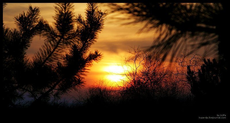 Днепропетровск, Природа, kUPa photo preview