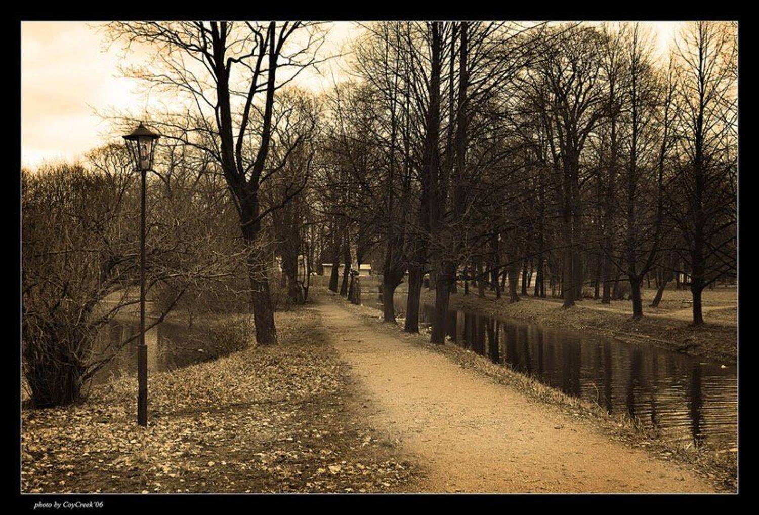 фонарь, дорога, парк, Петрова Мария