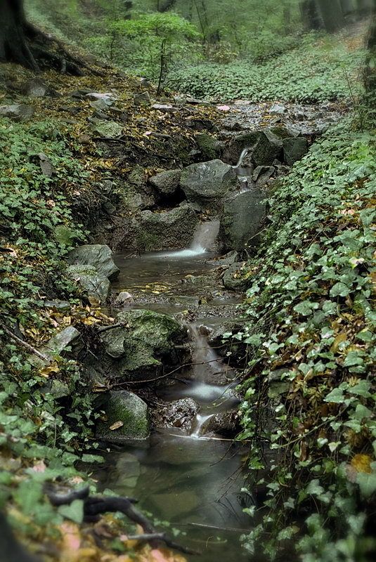 Утриш, ущелье, ручей Неспешное журчание к морюphoto preview