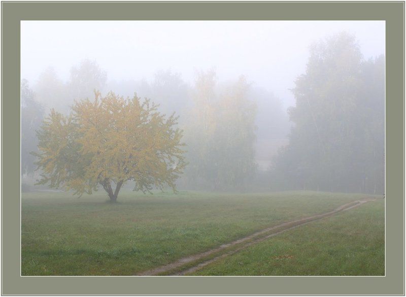 туманphoto preview