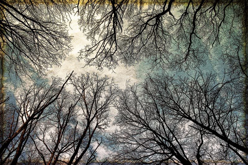 Дорогаphoto preview