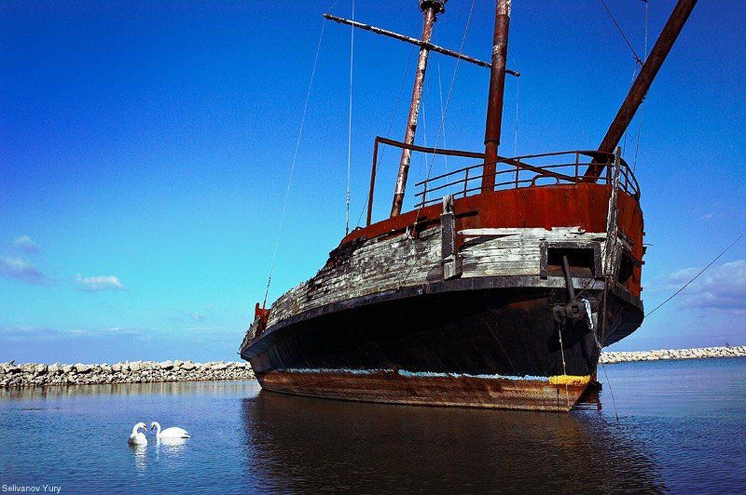 1st1, canada, ship, Yury Selivanov