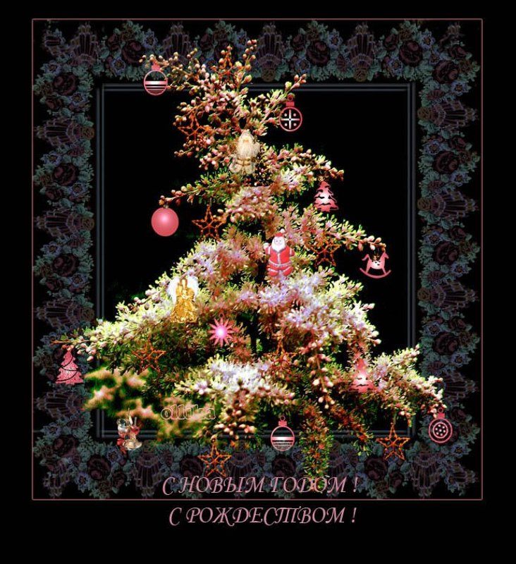 Новый, год, спирея. цветущая Елочка садовая... Летняяphoto preview