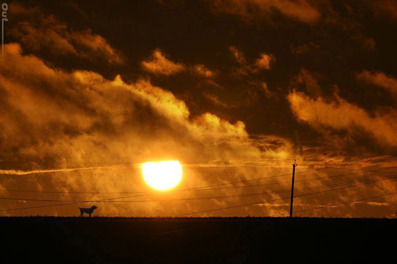 Закат, дорога, пейзаж Вдоль дорогиphoto preview