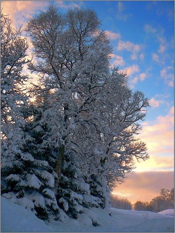 С наступающим 2007 годом!!!!!photo preview