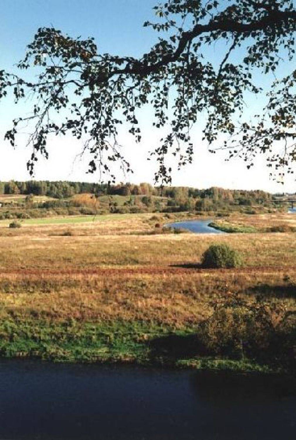 Пушкинские горы, село Тригорское, SVD