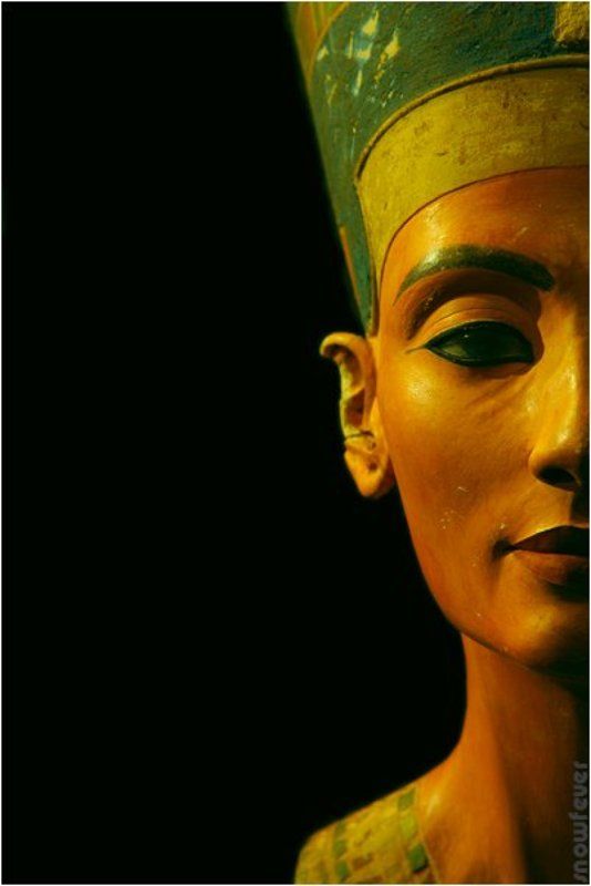 snowfever, nifertiti, Museum, old, life photo preview