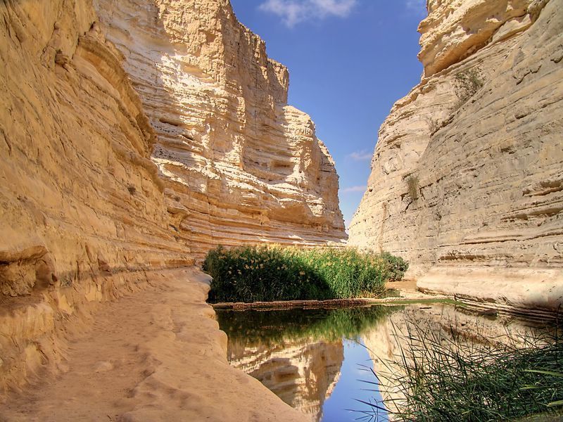 оазис в пустыне Негевphoto preview