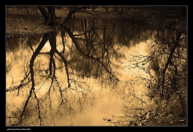 отражения Отраженияphoto preview