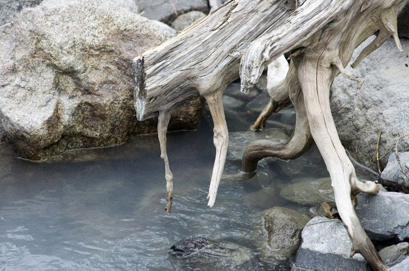 Жаждаphoto preview