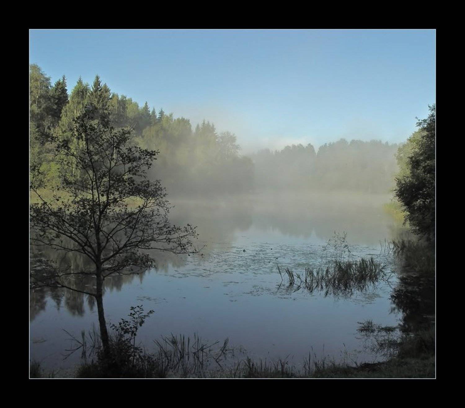 про туман .... Автор: Anna Fomicheva селигер туман протока утро, Anna Fomicheva