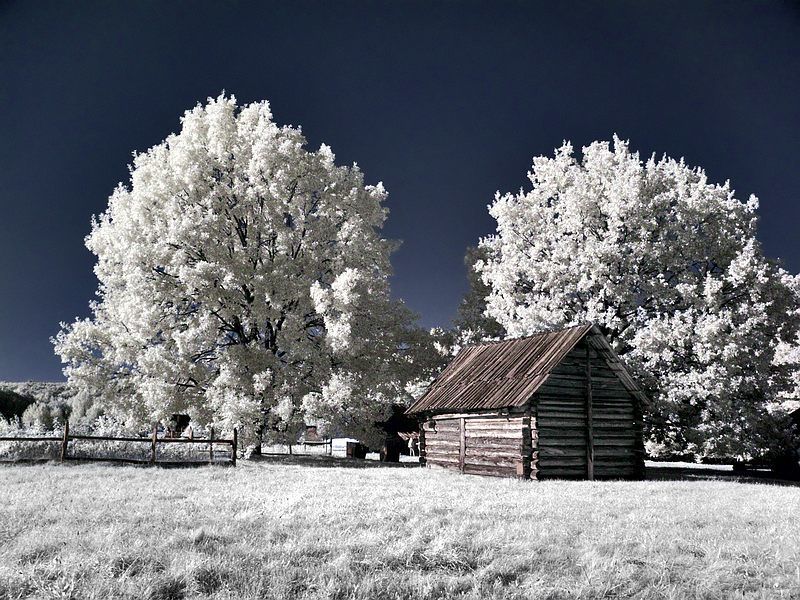 ик, пейзаж, деревня, лето, дом, про сарайчик... фото превью