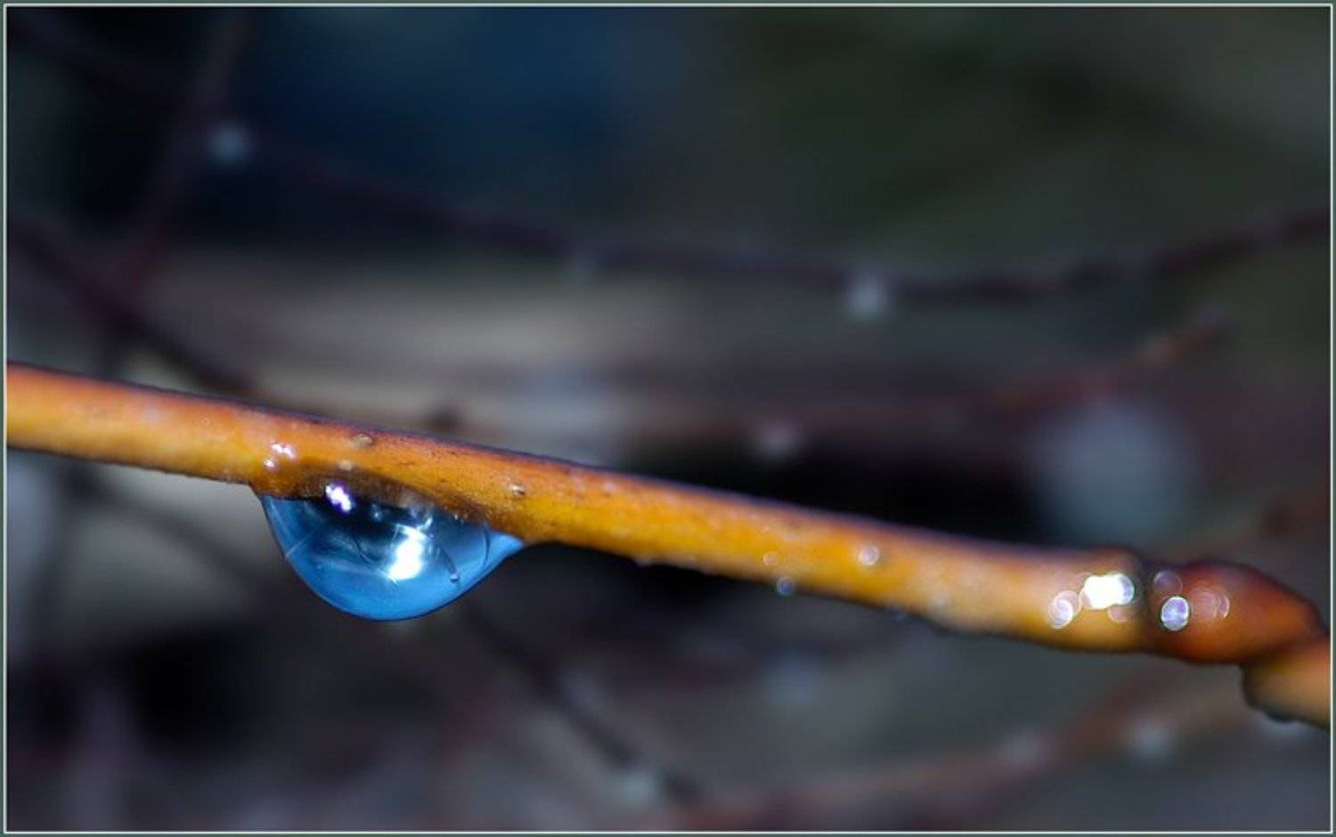 Синеглазая. Автор: Капустин Николай капля, вспышка, Капустин Николай