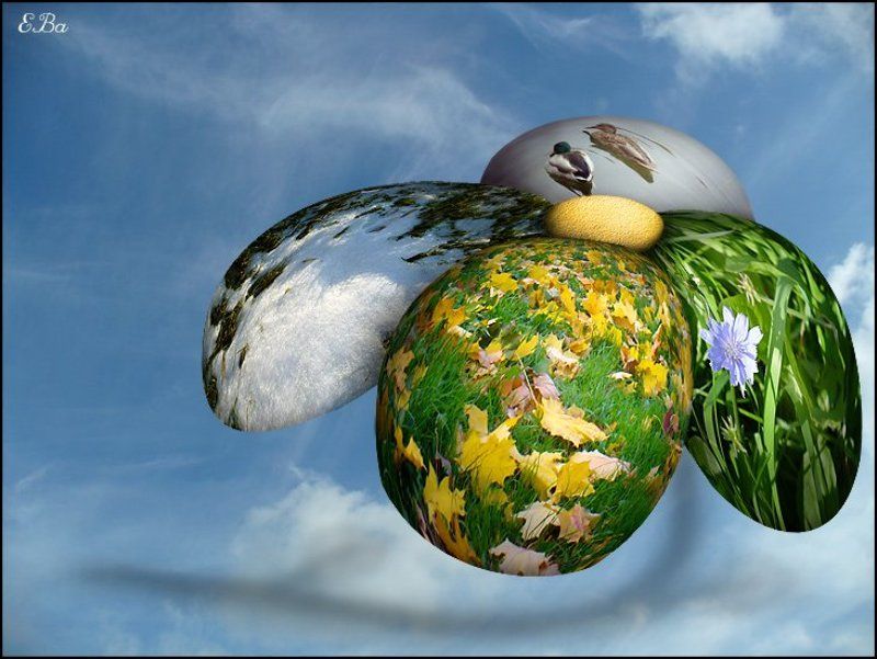 фантазии Цветок времениphoto preview