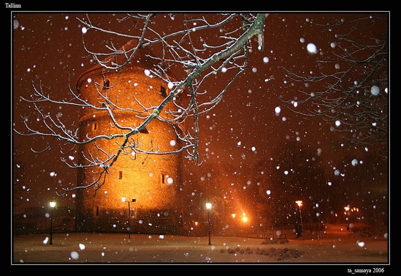 Предновогодний снегphoto preview