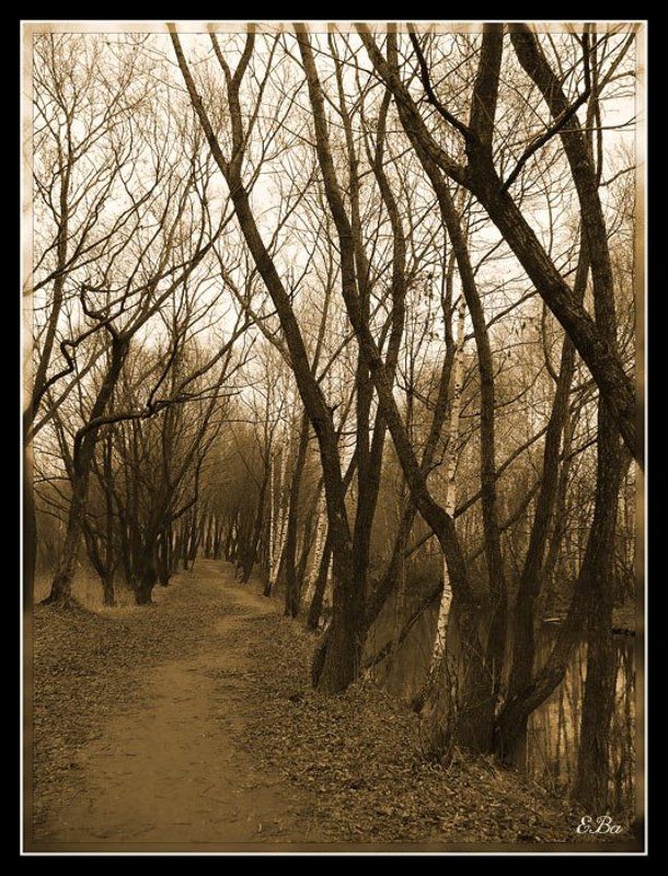 природа Пути-дороги...photo preview