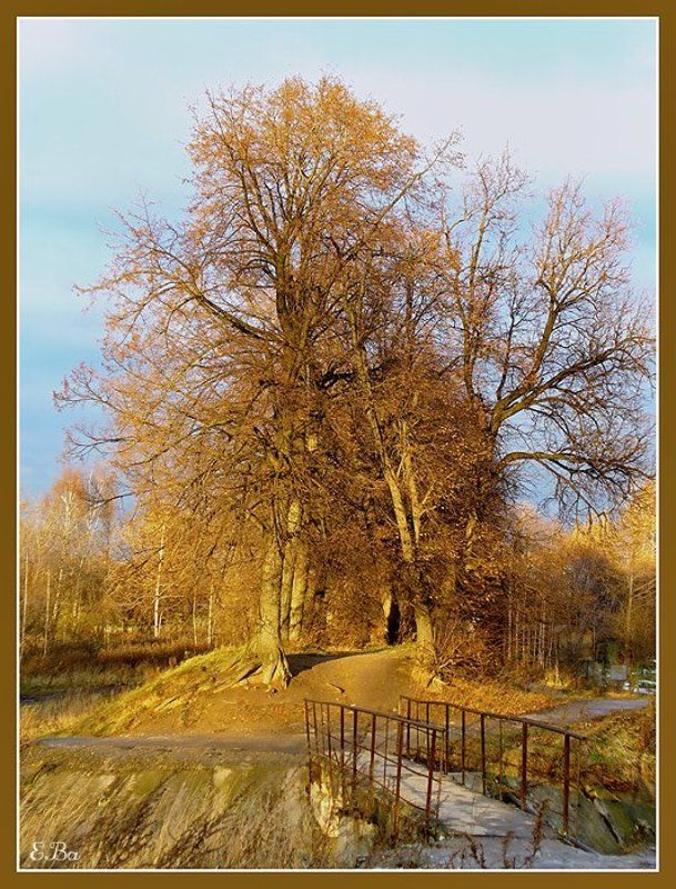 солнце пруд Путь к свету...photo preview