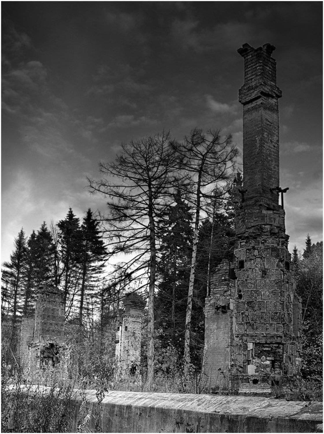 лес осень печи разруха усадьба, Anna Fomicheva [nusha]