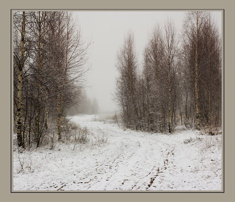 Дорогой зимнею...photo preview