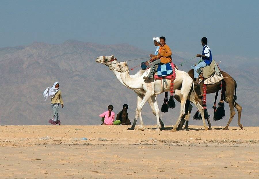 Египет, декабрь, селение, бедуины, Alexey