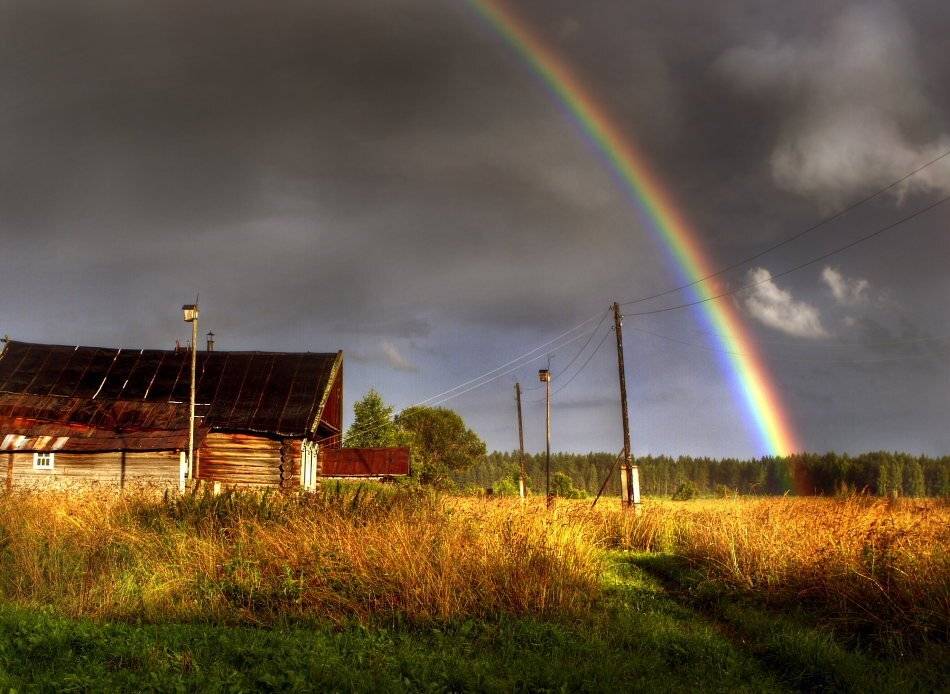 , Владимир Липецких
