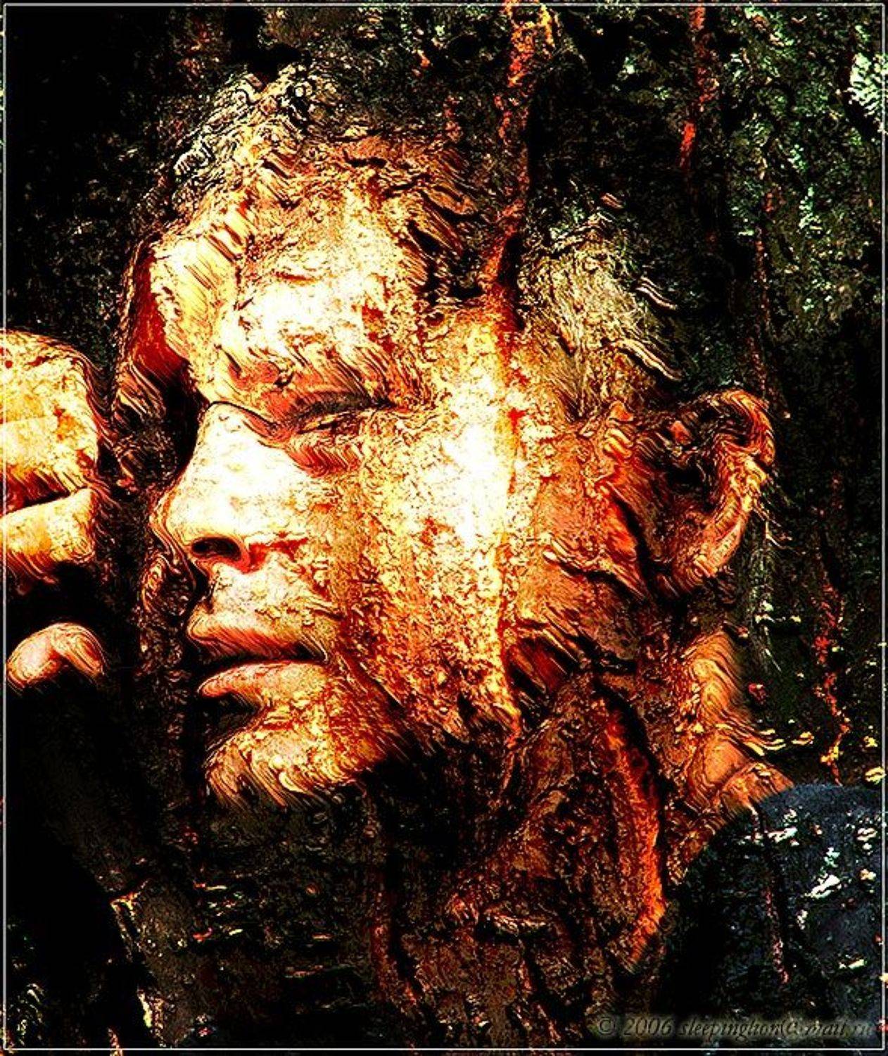 Портрет, Коллаж, Наложение, Монтаж, Pilgrim