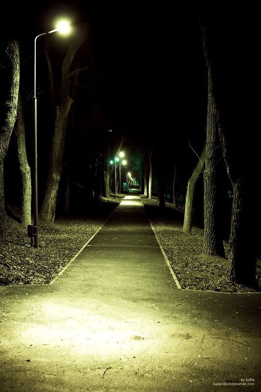 Днепропетровск, kUPa Таинственный парк #1photo preview