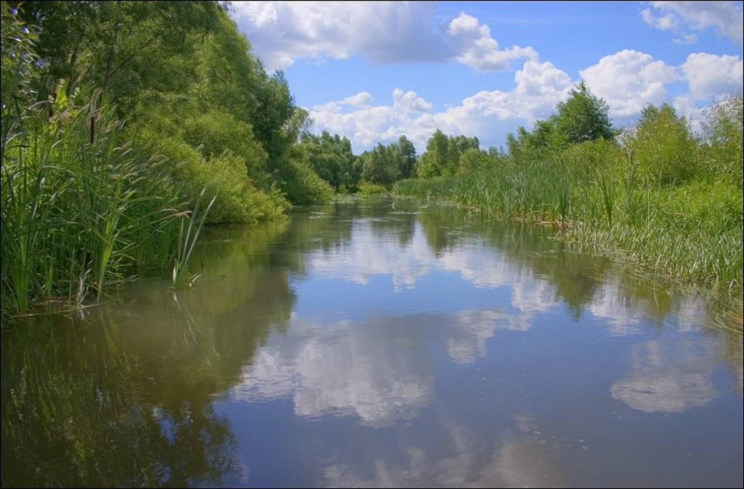 река, лесной, воронеж, Alexis Assa
