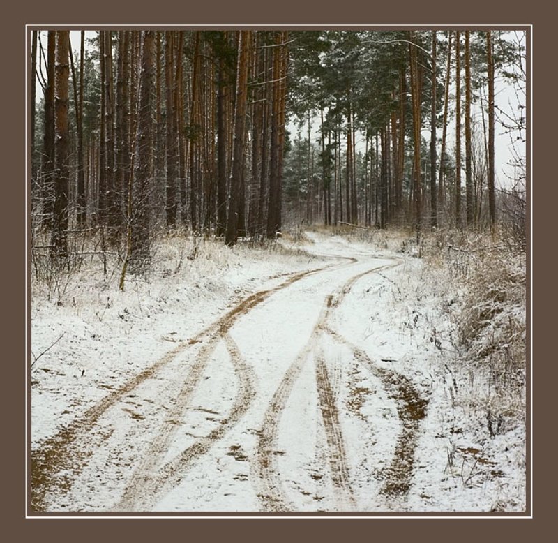 Про следыphoto preview