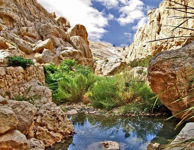 Иудейская пустыня. Тропа жизни или еще один родничек.photo preview