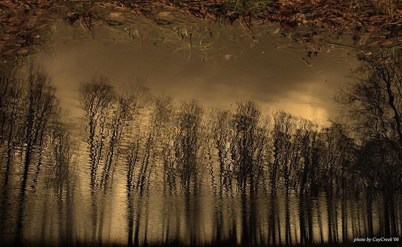 золотые, зеркала Золотые зеркалаphoto preview