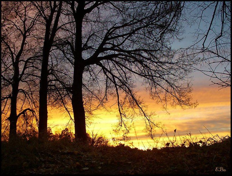 закат размышление За пределами мысли и времени...photo preview