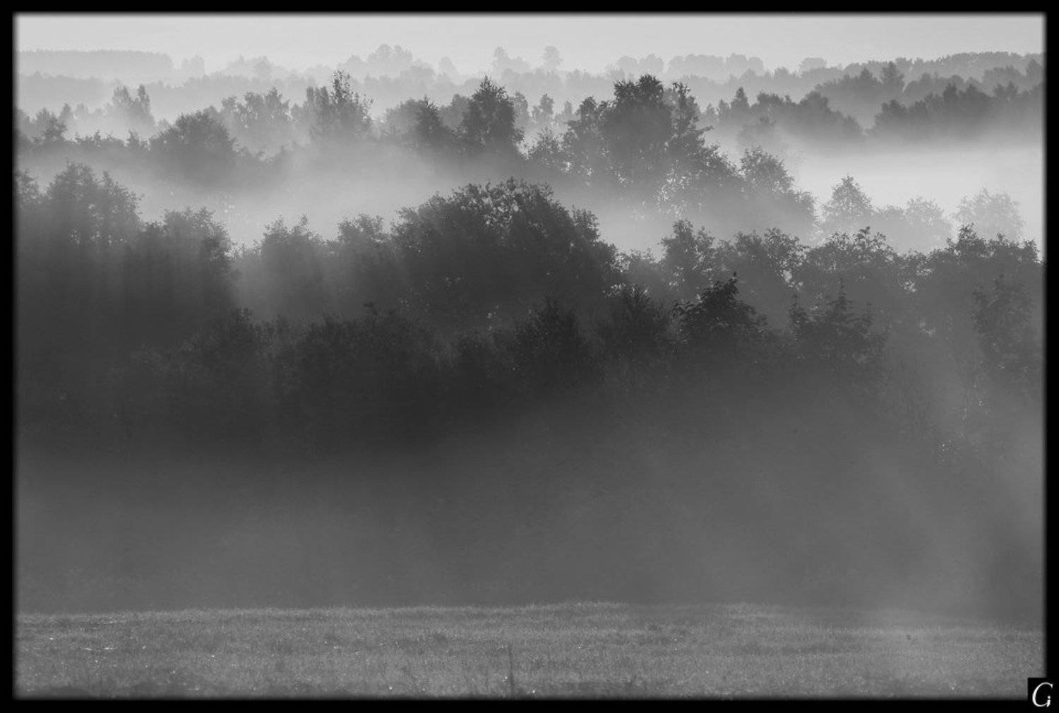 В звоне солнечных струн. Автор: Gorshkov Igor_Feanorus Утро, рассвет, Талашкино, струны, туман, Gorshkov Igor_Feanorus