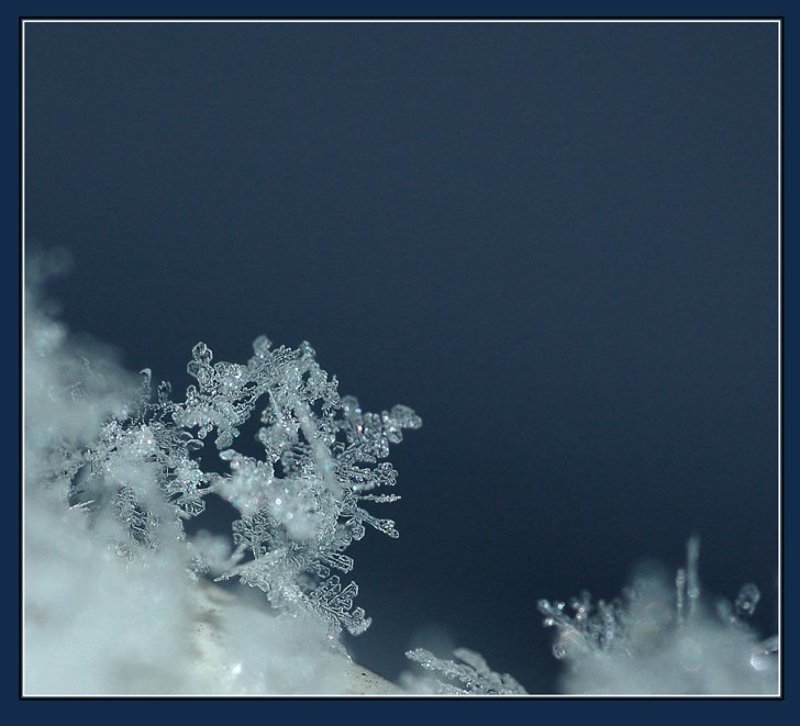 снег photo preview